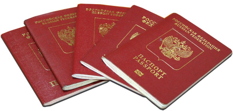 Вид заграничного паспорта